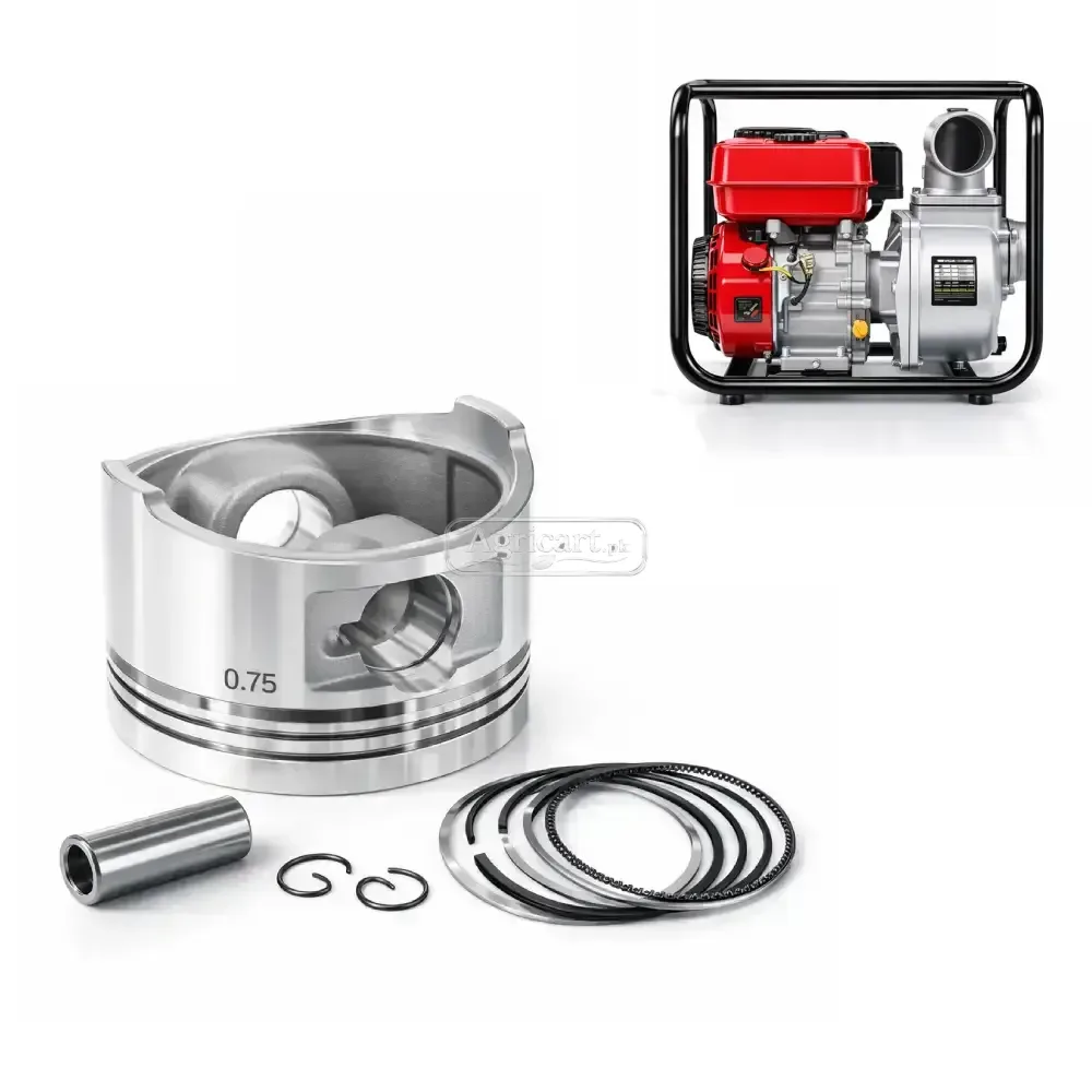 Petrol Engine Water Pump 2 Inch Piston Ring Set 0.75 Size