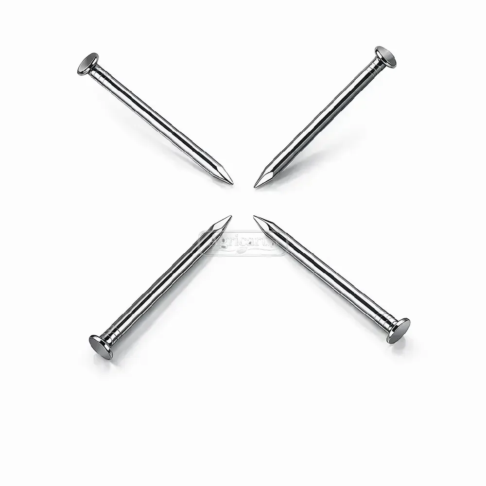Iron Nails 2Inch 10 No