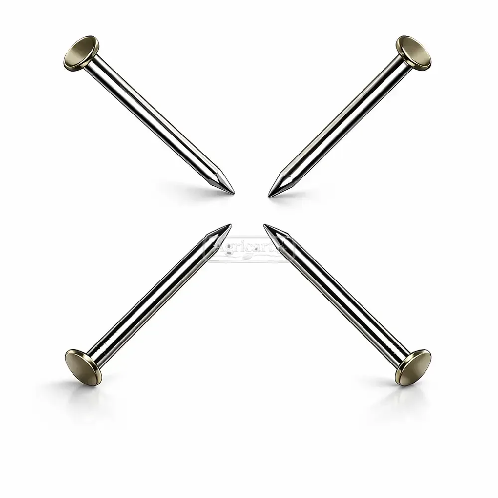 Iron Nails 1Inch 17 No