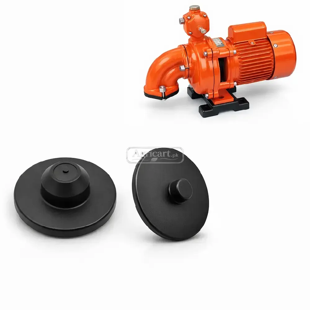 Water Pump Regulator Gene