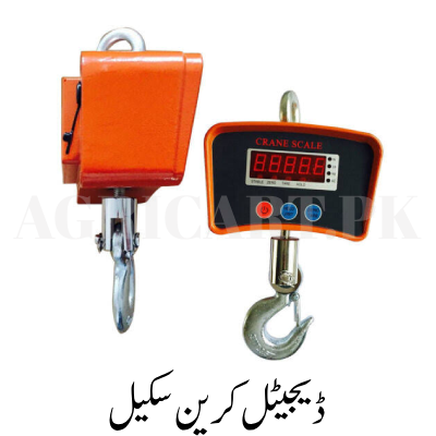 New Project (9) Digital Crane Scale - Image 1