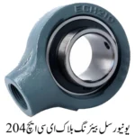 Universal Bearing Block ECH 204