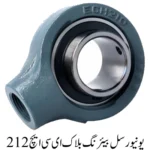 Universal Bearing Block ECH 212