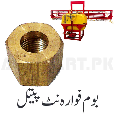 Boom Shower Nut Brass