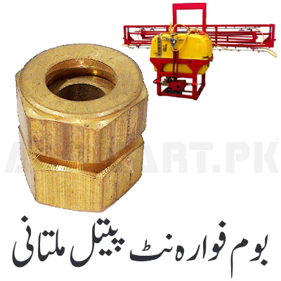 Boom Shower Nut Brass (Multan)
