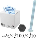 10mmx100mm Bolt