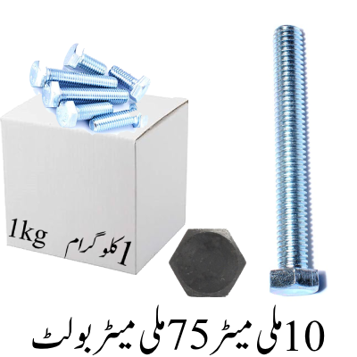 10mmx75mm Bolt