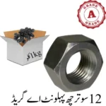 12 sooter Hex Nut A grade