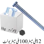 12mmx100mm Bolt