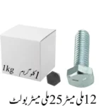 12mmx25mm Bolt