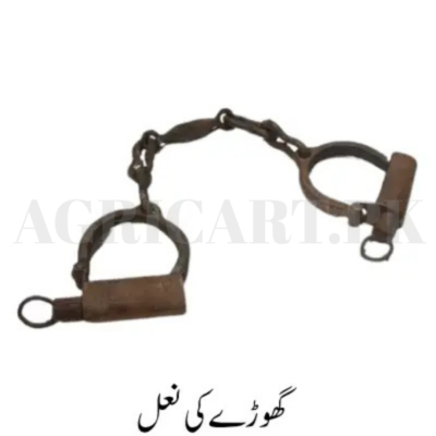 Horse Naal