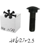 2.5 Sooter 2 inch Carriage Bolt