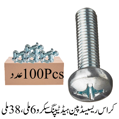Cross Recessed Pan Head Tapping Screw 6mmx38mm
