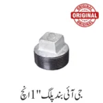 G I End Cap 1'' Inch