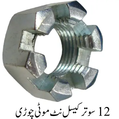 Hexagonal Castle Nut Thick thread 12 sutar