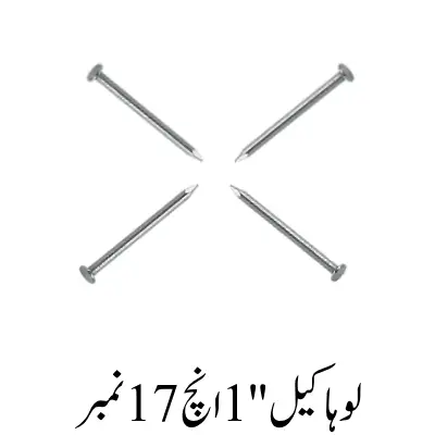Iron Nail's 1''Inch 17 No.