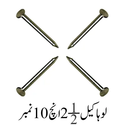 Iron Nail's 2.5''Inch 10 No.