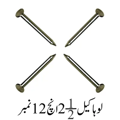 Iron Nail's 2.5''Inch 12 No.