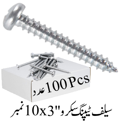 Self Tapping Screw's 3''x10 No.