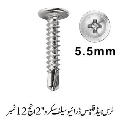Truss Head Phillips Drive Self screw 2'', 12 No.
