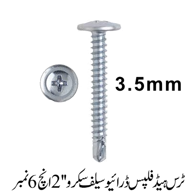 Truss Head Phillips Drive Self screw 2'', 6 No.