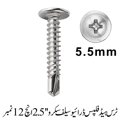 Truss Head Phillips Drive Self screw 2.5'', 12 No.