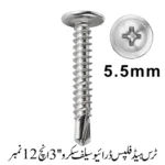 Truss Head Phillips Drive Self screw 3'', 12 No.