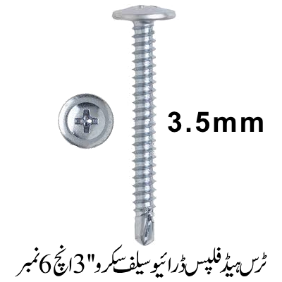 Truss Head Phillips Drive Self screw 3'', 6 No.