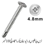 Truss Head Phillips Drive Self screw 4'', 10 No.