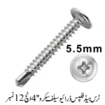 Truss Head Phillips Drive Self screw 4'', 12 No.