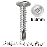 Truss Head Phillips Drive Self screw 4'', 14 No.