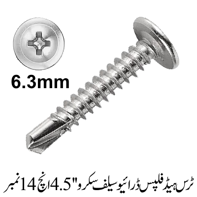 Truss Head Phillips Drive Self screw 4.5'', 14 No.