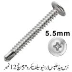 Truss Head Phillips Drive Self screw 5'', 12 No.