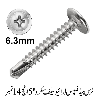 Truss Head Phillips Drive Self screw 5'', 14 No.