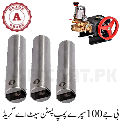 BJ-100 Spray Pump Piston Set A Grade