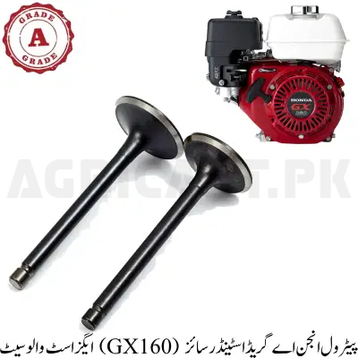 Exhaust Valve set (GX160) Petrol Engine A Grade (Standard size)