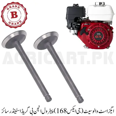 Exhaust Valve Set (GX168) Petrol Engine B Grade (Standard Size)