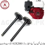 Exhaust Valve Set (GX200) Petrol Engine A Grade (Standard size)