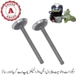 Exhaust Valve set Petrol Engine Water Injector Pump A Grade (Over Size)