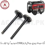 Exhaust Valve Set Portable Generator 3500 Watt A Grade (Standard size)