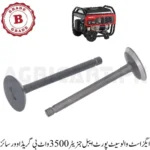 Exhaust Valve Set Portable Generator 3500 Watt B Grade (Over size)
