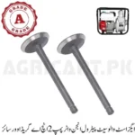 Exhaust Valve Set Petrol Engine Water Pump 2 Inch A Grade (Over Size)