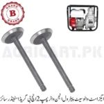 Exhaust Valve Set Petrol Engine Water Pump 2 Inch B Grade (Standard Size)