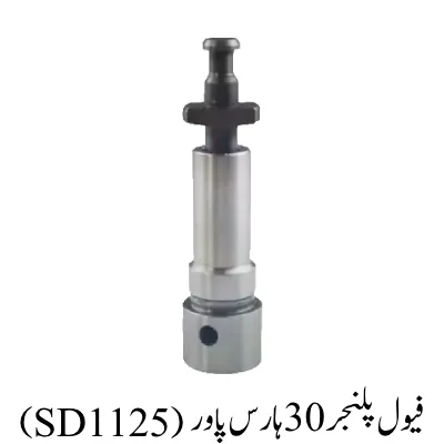 Fuel Plunger SD1125 30HP