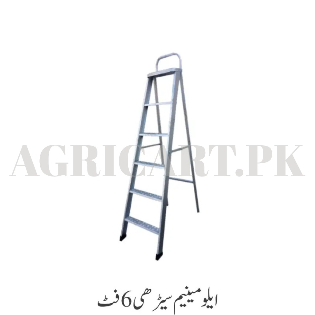1758427868_whatsapp-image-2025-09-20-at-71629-pm-8 Alummunium Ladder 6 Feet - Image 1