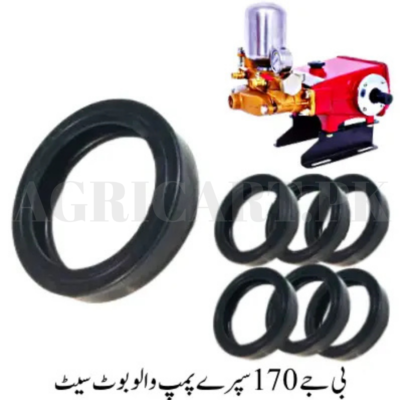 BJ-170 Spray Pump Valve Boot Set