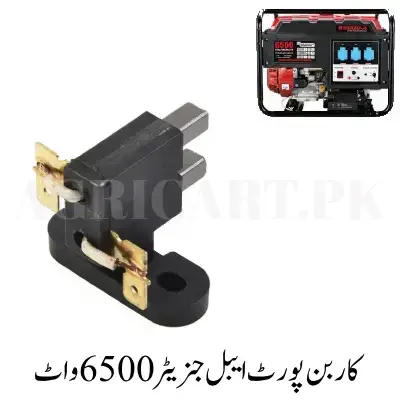 1761106741_new-project-53 Carbon Portable Generator 6500 Watt - Image 1