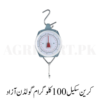 New Project (13) Crane Scale 100 KG GOLDEN AZAD - Image 1