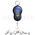 Portable Digital Scale
